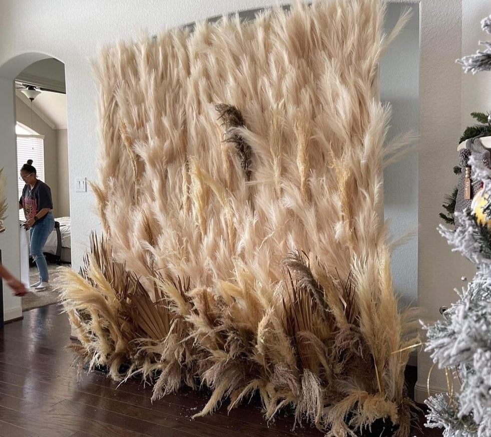 Pampas Grass Wall ~ Rental