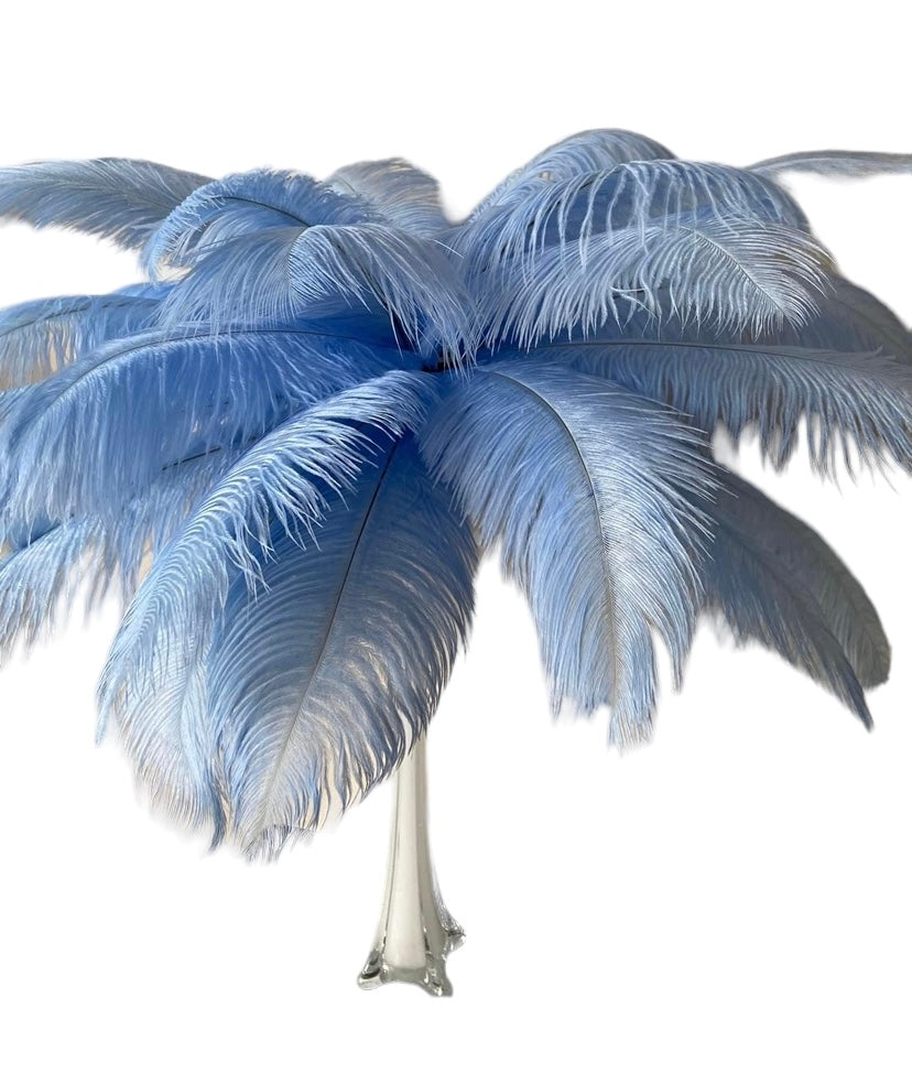 Ostrich Feather Centerpiece Kits ~ Rental