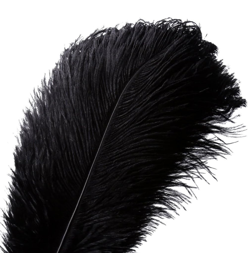 Ostrich Feather Centerpiece Kits ~ Rental