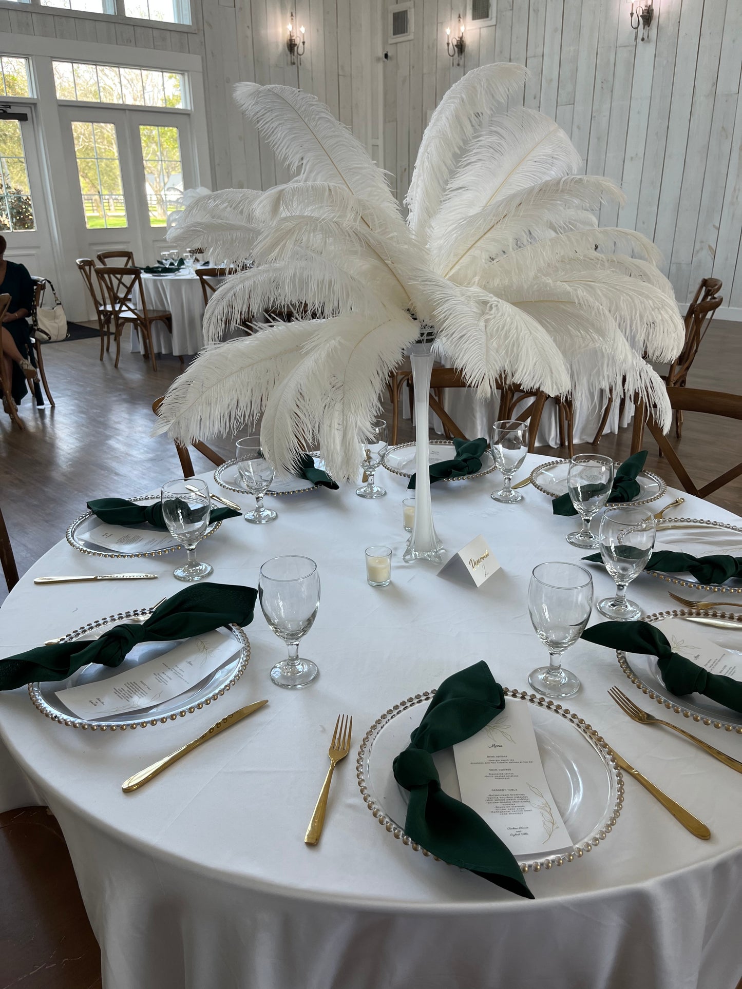 Ostrich Feather Centerpiece Kits ~ Rental