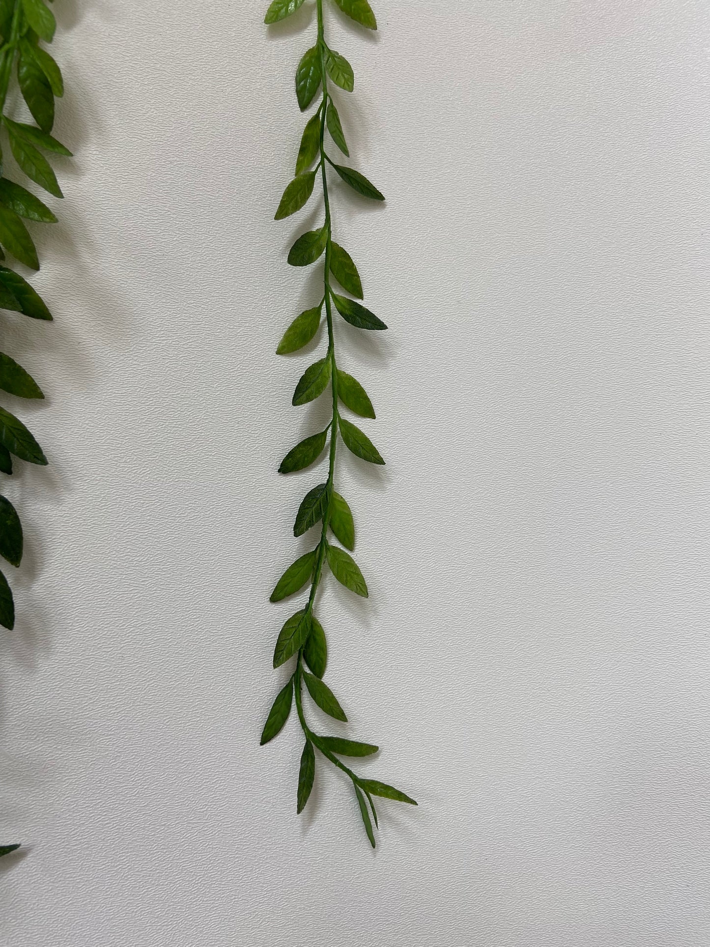 Hanging Willow Vines