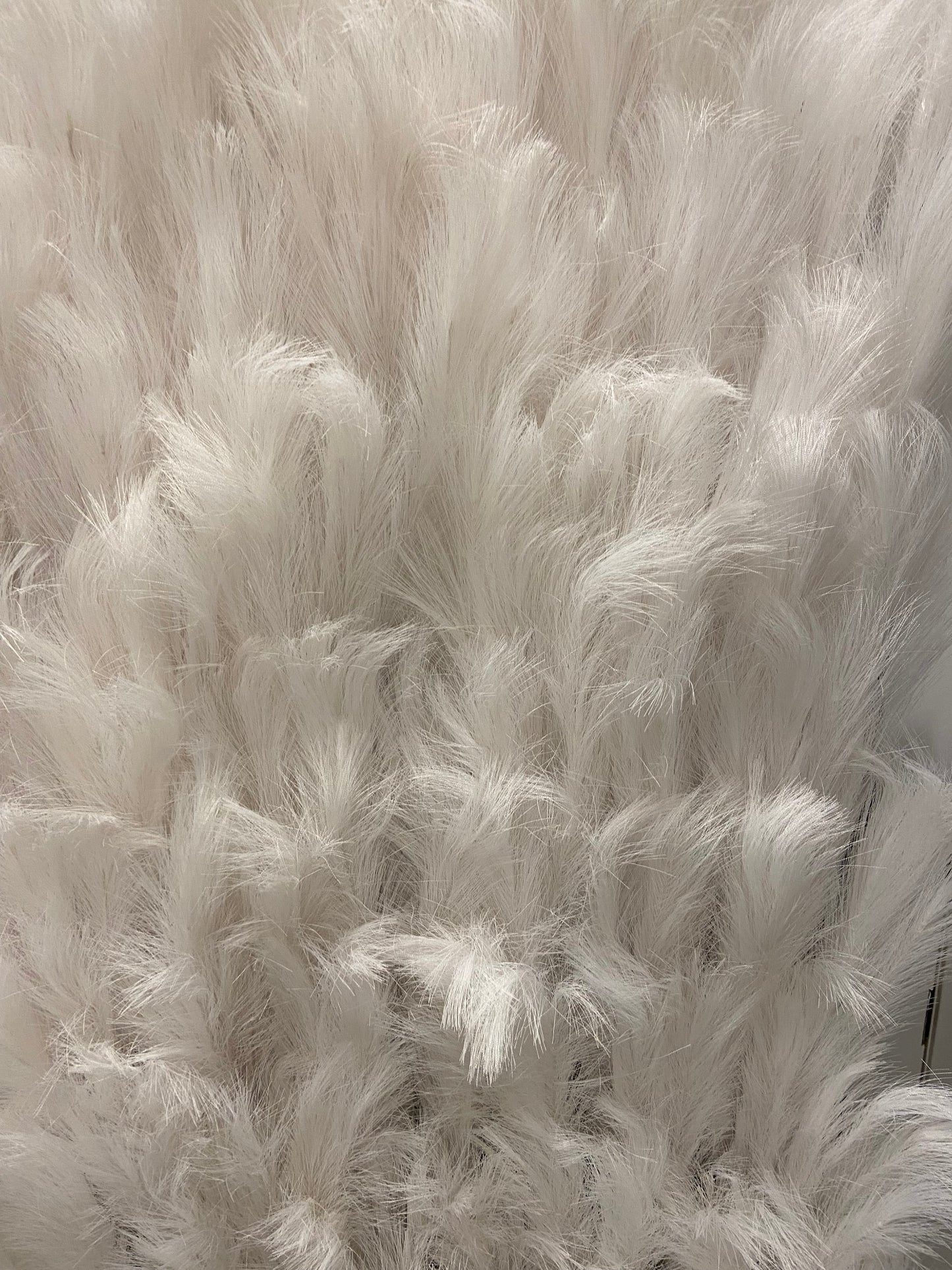 Pampas Grass Wall ~ Rental