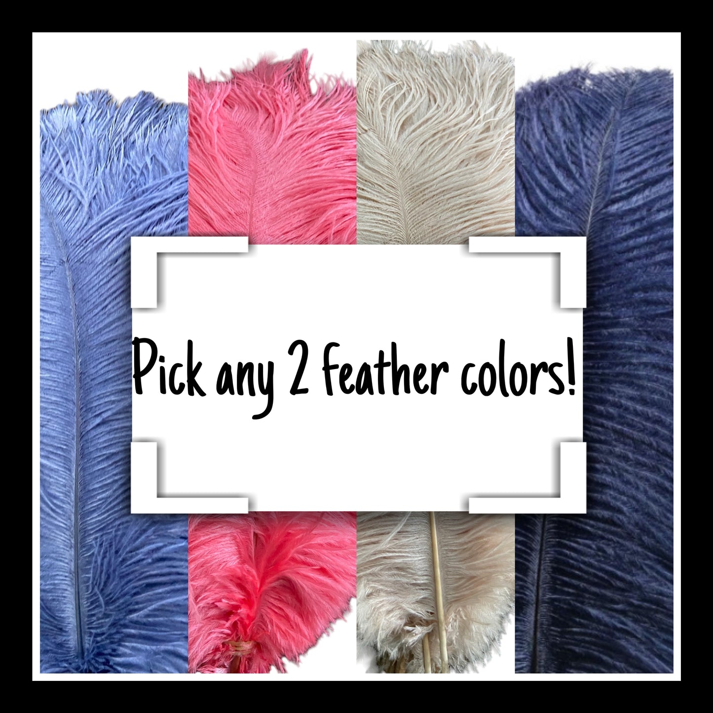 Ostrich Feathers