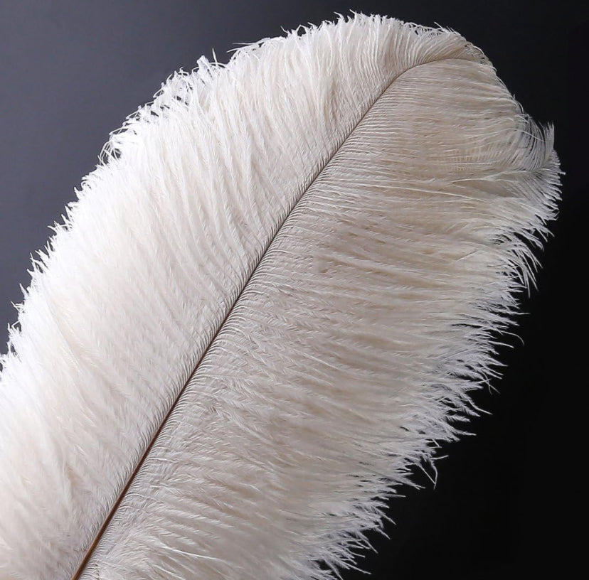 Ostrich Feather Centerpiece Kits ~ Rental