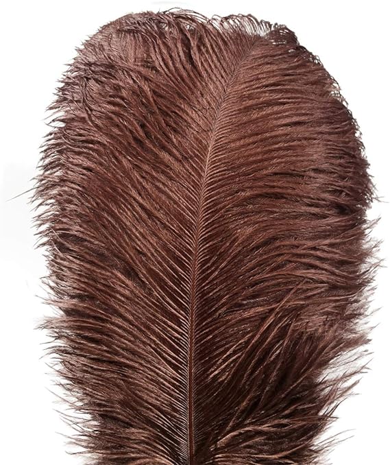 Ostrich Feathers