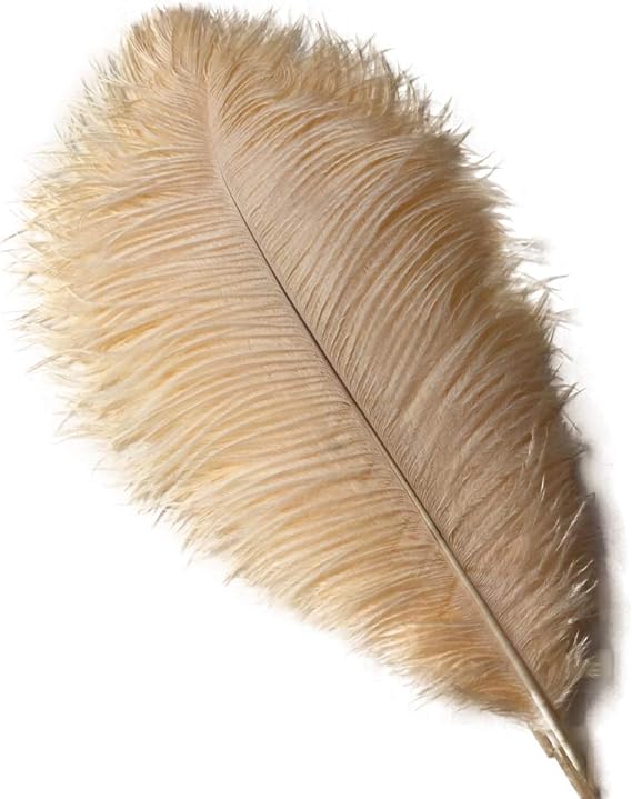 Ostrich Feathers