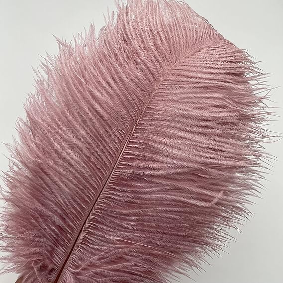 Ostrich Feathers