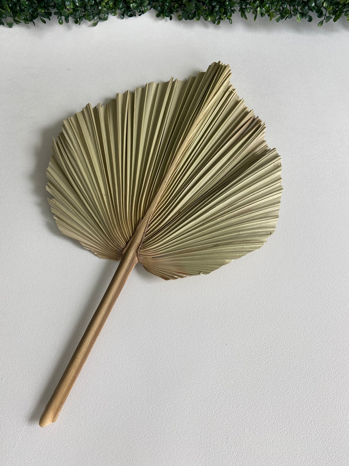 Dried Palm Leave Spears ~ Rental