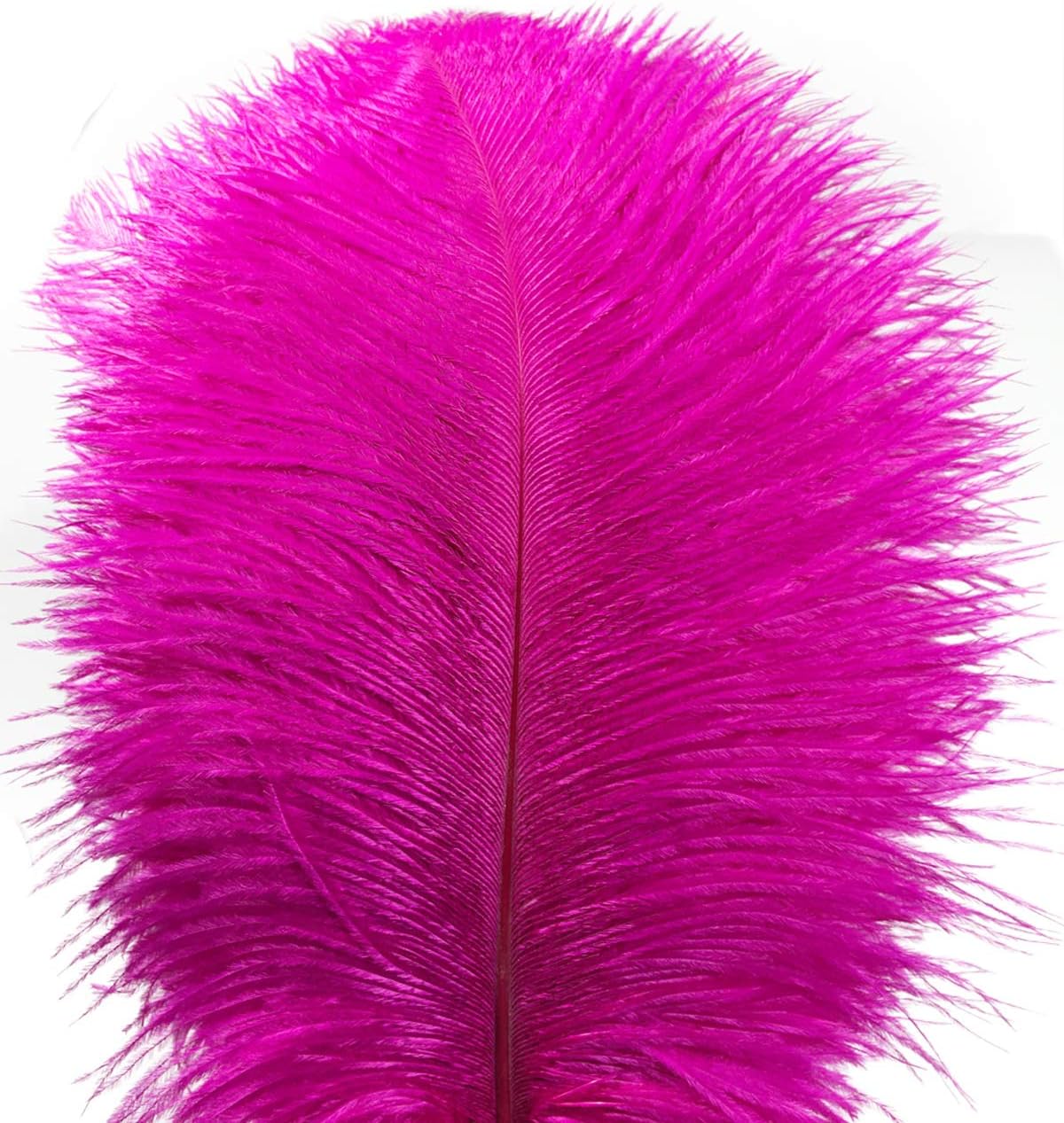 Ostrich Feathers