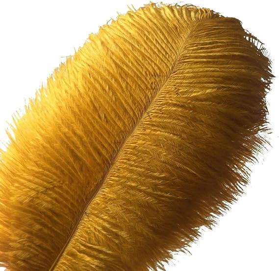 Ostrich Feathers