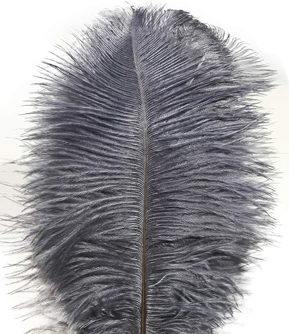 Ostrich Feathers