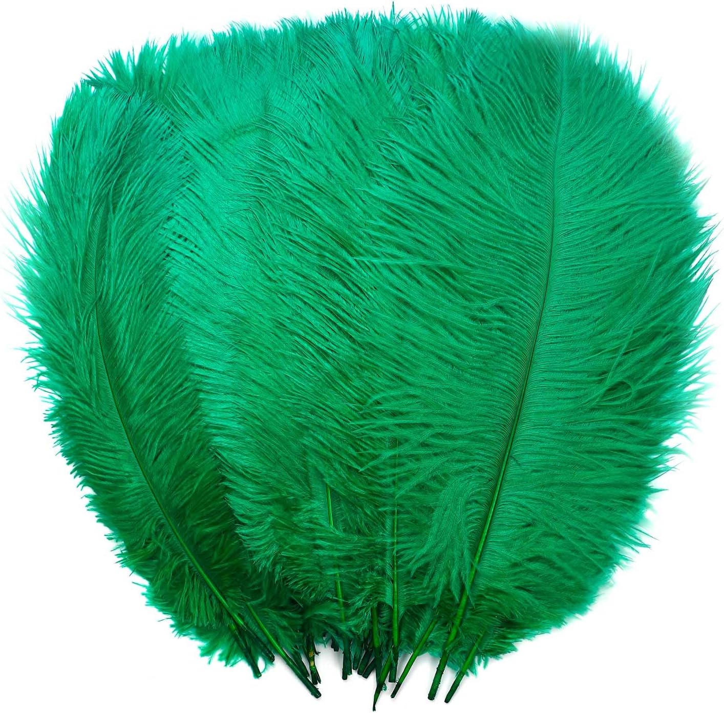 Ostrich Feathers