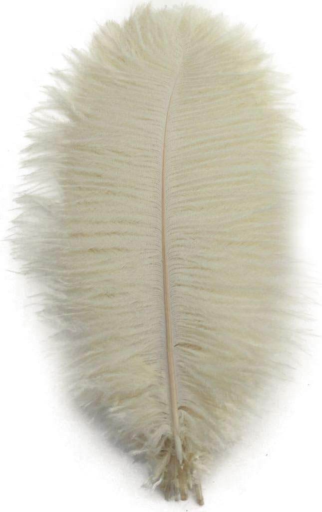 Ostrich Feathers