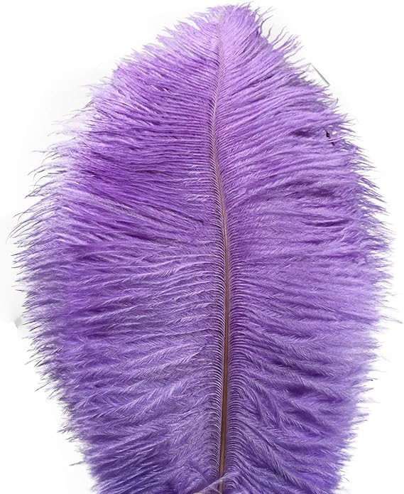 Ostrich Feathers