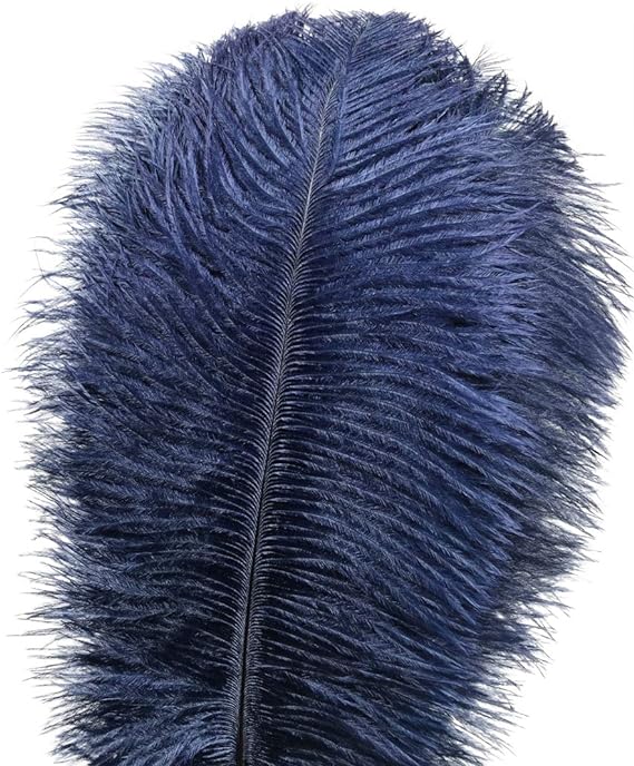 Ostrich Feathers