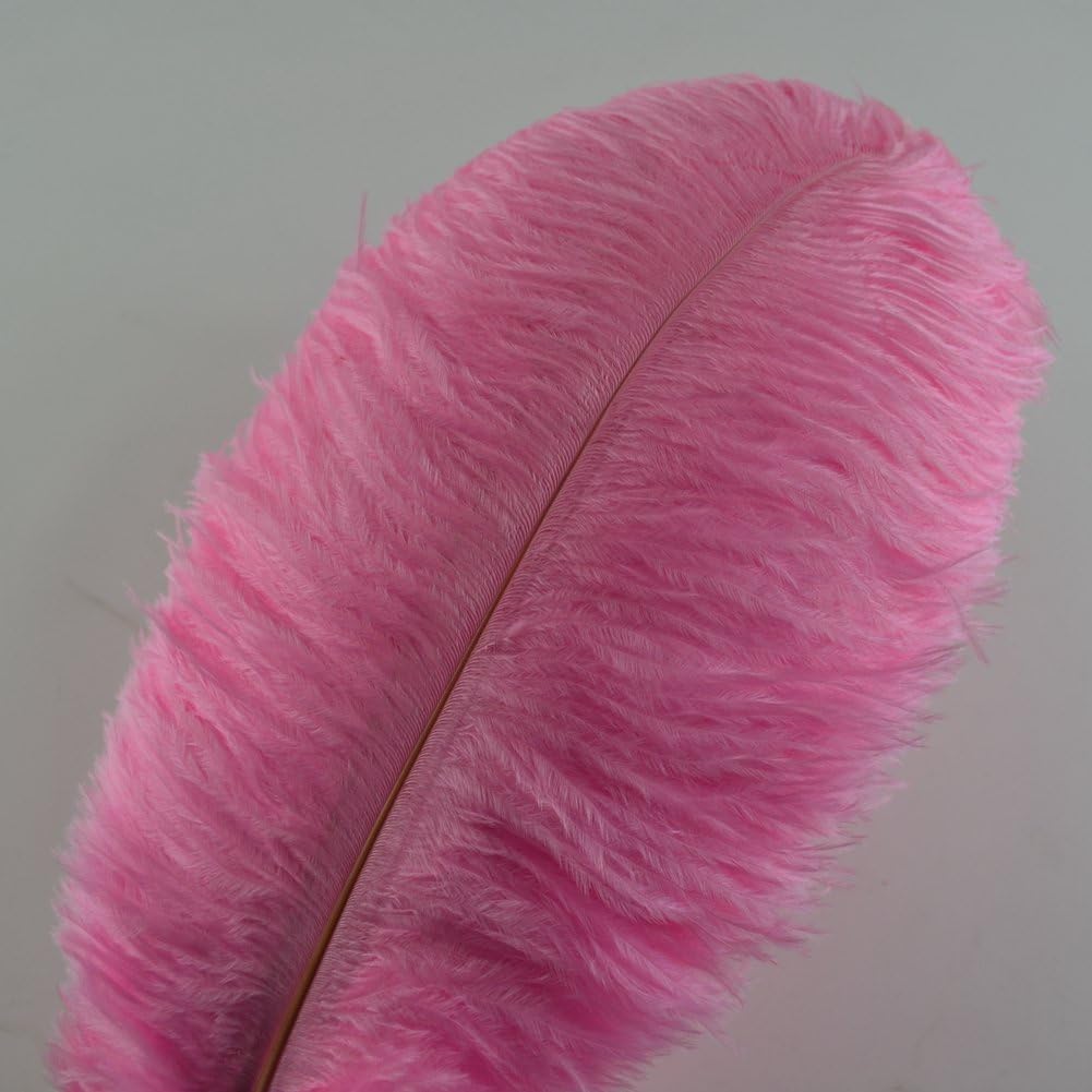 Ostrich Feathers