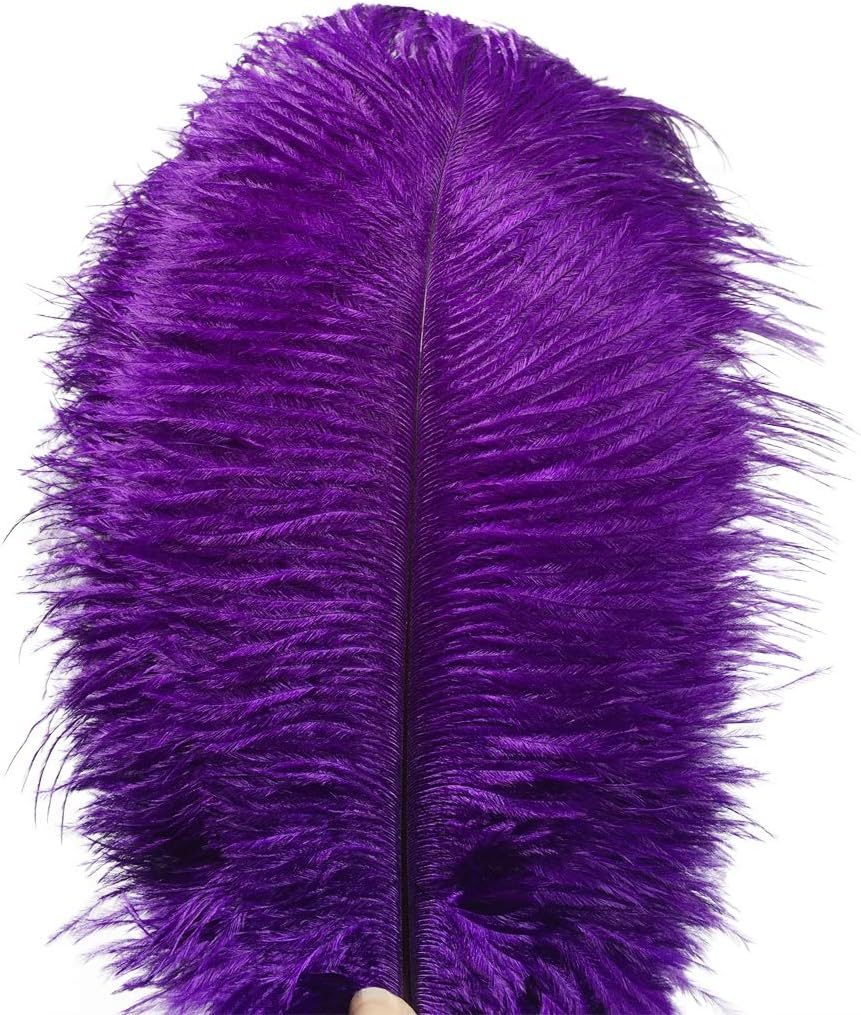 Ostrich Feathers