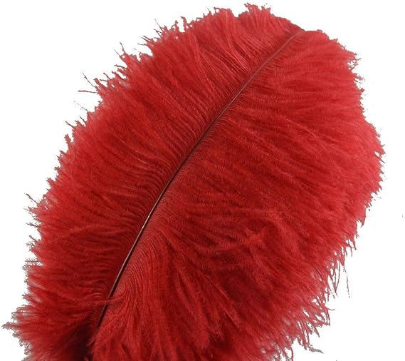 Ostrich Feathers