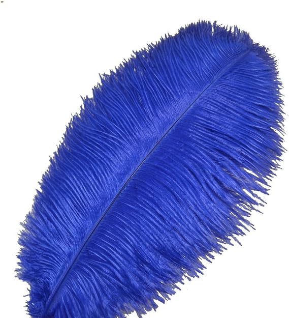 Ostrich Feathers