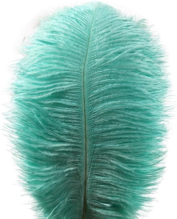 Ostrich Feathers