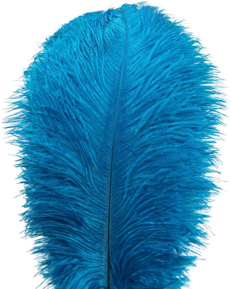 Ostrich Feathers