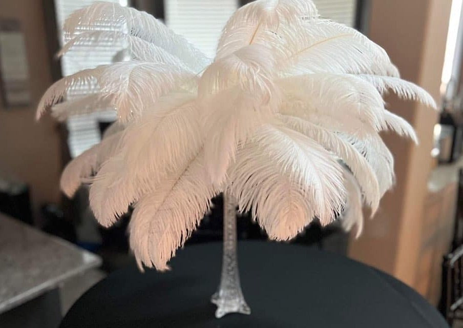 Ostrich Feathers