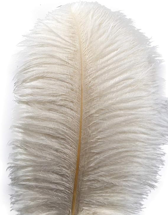 Ostrich Feathers