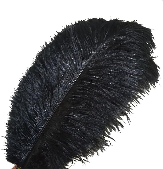 Ostrich Feathers