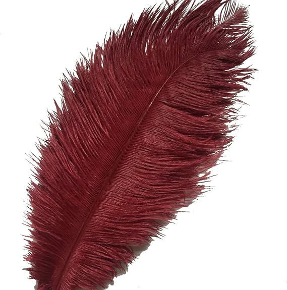 Ostrich Feathers