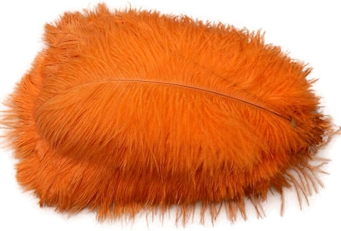 Ostrich Feathers